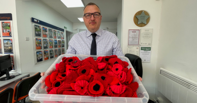 Thank you everyone! 478 Poppies so far.
