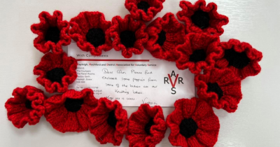 Some more fabulous knitted poppies..