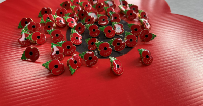 More Metal Poppy Pins