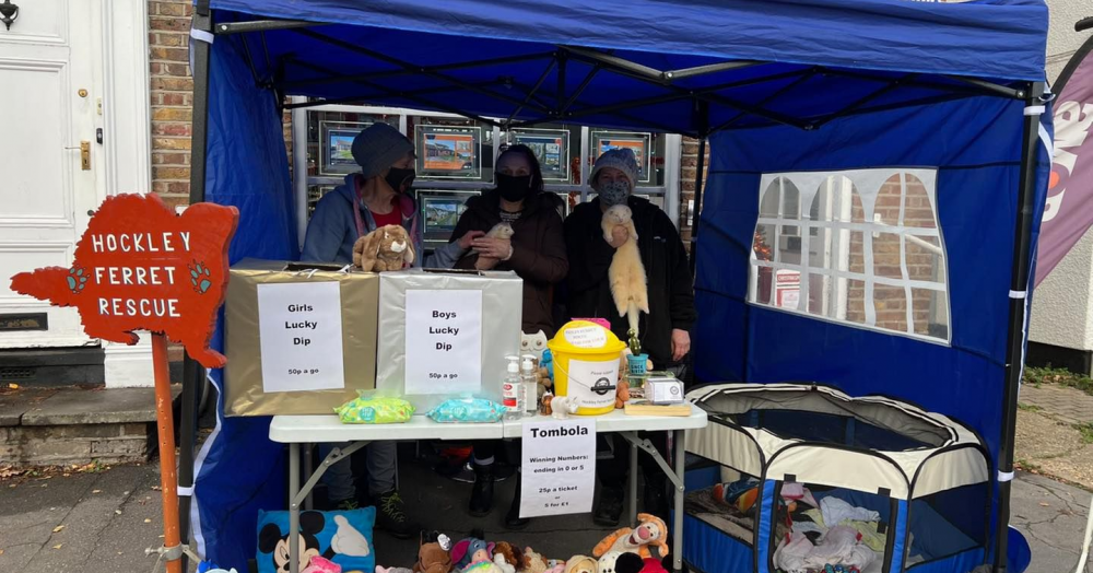 Supporting Hockley Ferret Rescue