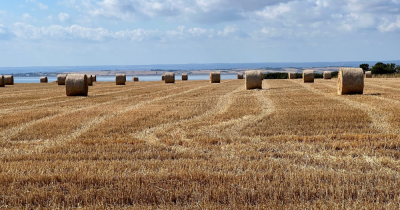 Castle Point; what a wonderful place to live!