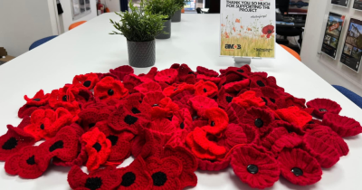 Thank you for these fabulous poppies Hockley!