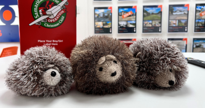 Send a Christmas Gift across the World