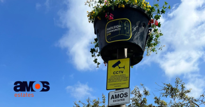 Hadleigh is looking blooming lovely!