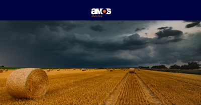 Escape to the Country: Embracing a New Weekend Lifestyle in Suffolk