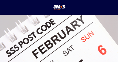 What did the SS5 housing market do in February 2024?  Find out here.