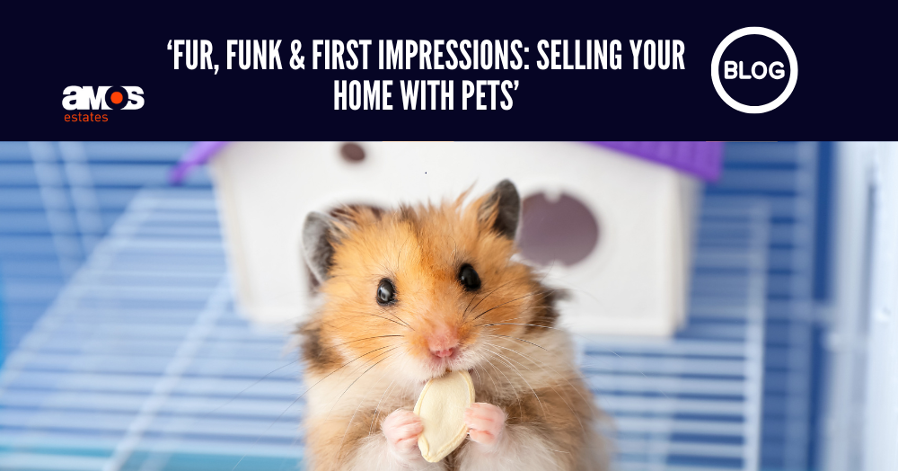 Fur, Funk & First Impressions: Selling Your Home With Pets, the Amos Estates advice.
