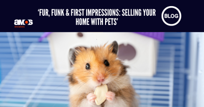 Fur, Funk & First Impressions: Selling Your Home With Pets, the Amos Estates advice.