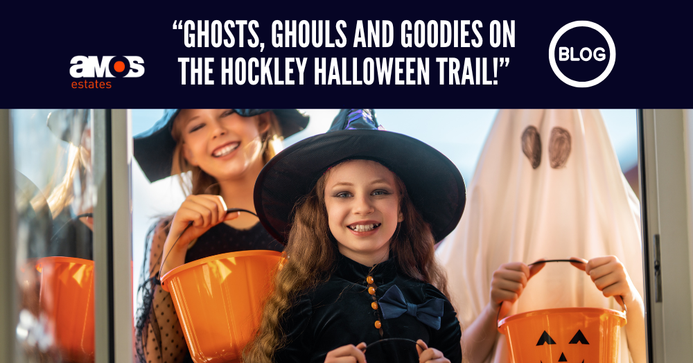 Ghosts, Ghouls and Goodies on the Hockley Halloween Trail!