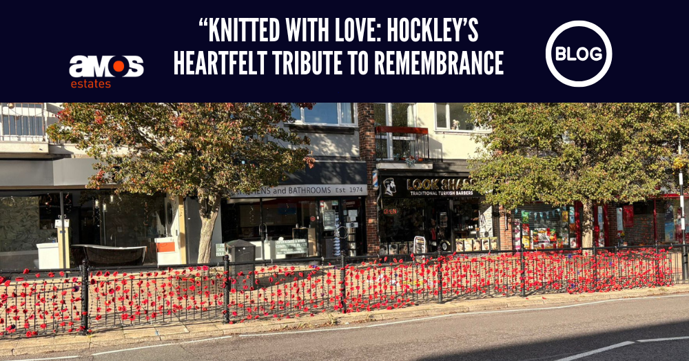 Knitted with Love: Hockley’s Heartfelt Tribute to Remembrance