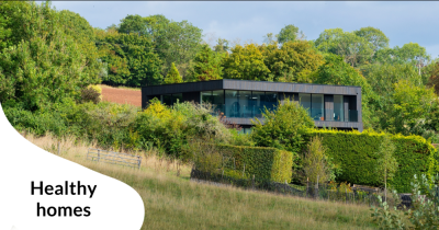 Everything you need to know about hypoallergenic homes