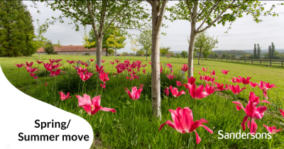 Advertise now for a spring / summer Somerset move