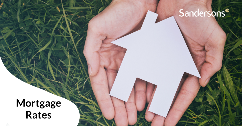 Mortgage lenders slash rates leading to increased buyer activity