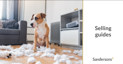 What to do if you are unhappy with your estate agent