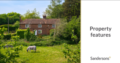 Our 10 most popular homes of 2024