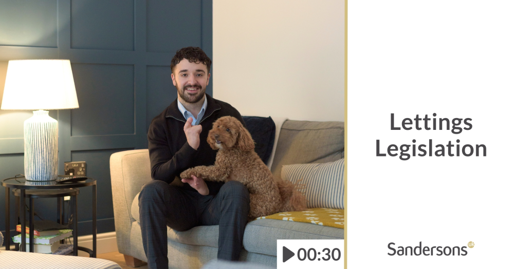 Renting with pets: New changes for landlords and tenants