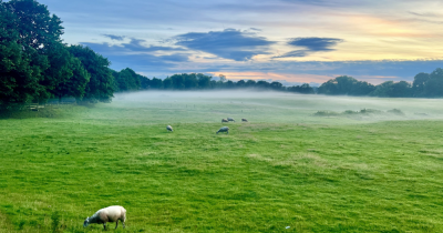 Why Autumn is a Great Time to Sell Your Home