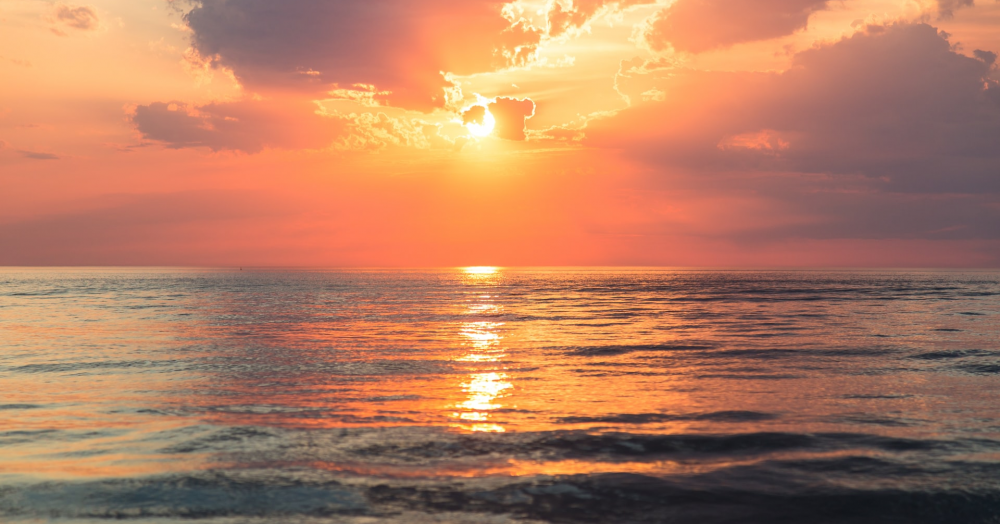 Here's your weekly positive news bulletin round up