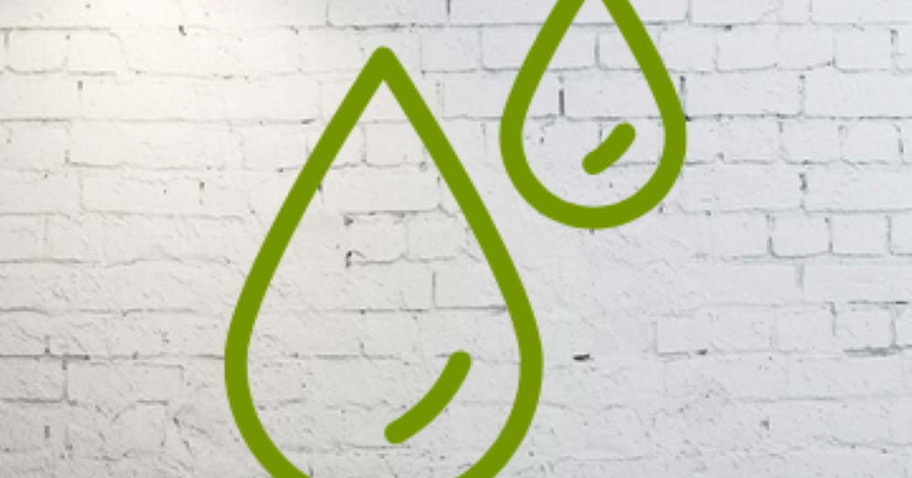 10 ways tenants can beat damp and mould