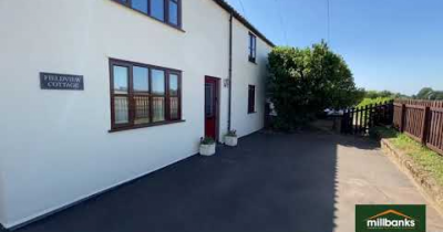 Field view - Besthorpe