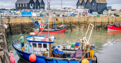 Whitstable the best seaside area to move to