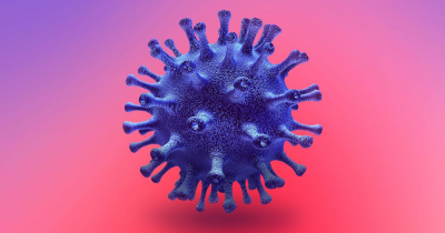 Agencies and businesses offered new tax and jobs schemes