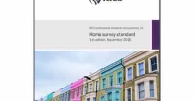 How will new mandatory survey standards improve the moving process?