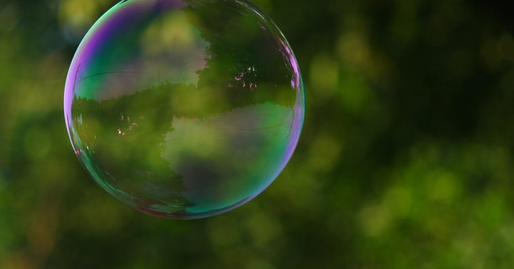 Who is in Your Christmas Bubble?