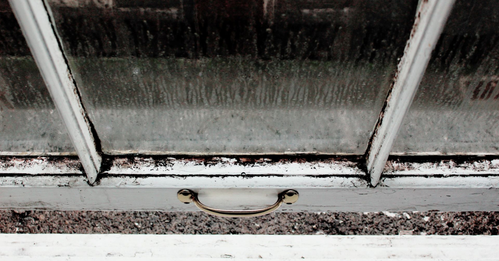 How to Advise Tenants Who Won't Be Told about Mould