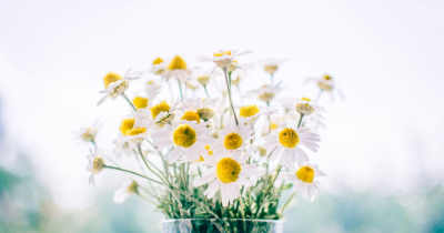 Why Landlords Should Give Their Property Strategy a Spring Clean