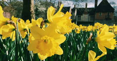 Why the Property Market Loves Springtime