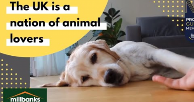 Selling Your Home with Pets