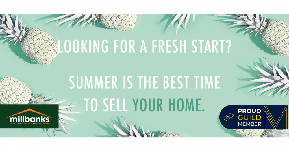 Looking for a fresh start this summer?