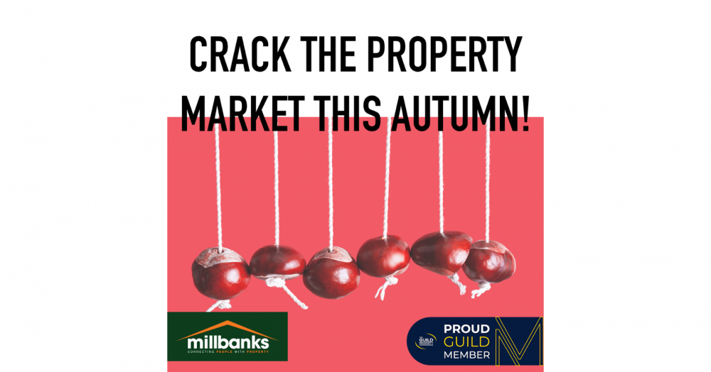 Are you looking for a home move this Autumn?