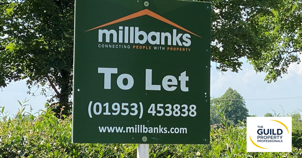 BTL product choice surpasses pre-pandemic total