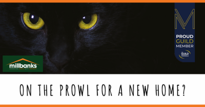 Are you on the prowl looking for that elusive new home?