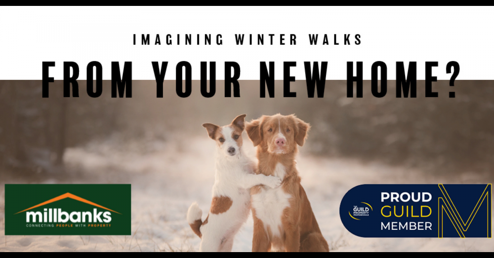 With the onset of Winter, you can't beat a crisp winter walk.