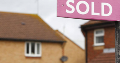 Amazing - One in every 16 homes has been sold this year