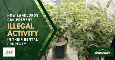 How Landlords Can Prevent Illegal Activity in Their Rental Property