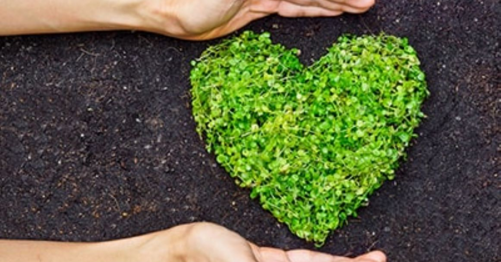 Energy Efficiency: The best thing landlords can do to help tenants