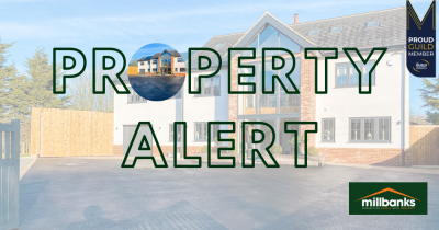 🎉🎉🎉 NEW TO THE MARKET 🎉🎉🎉