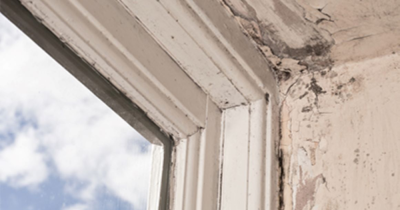 The Worst Winter Yet for Mould?