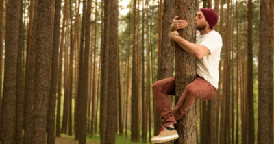 Where to buy a home if you're really into trees