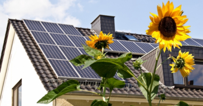 Eco-friendly upgrades that add value to your home🌻💡