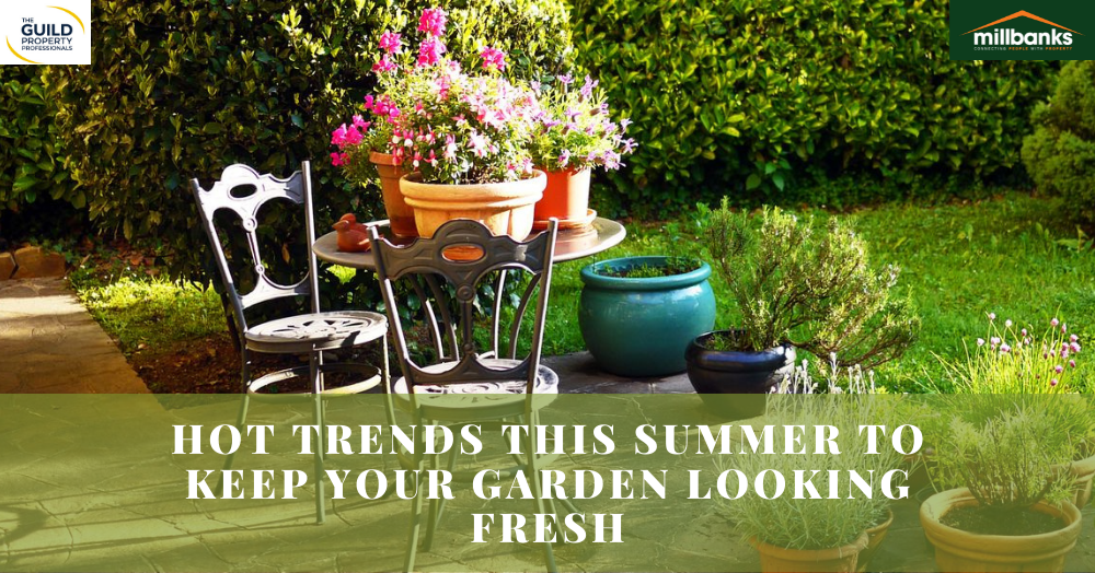 Hot Trends This Summer to Keep Your Garden Looking Fresh