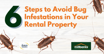 Six Steps to Avoid Bug Infestations in Your Rental Property