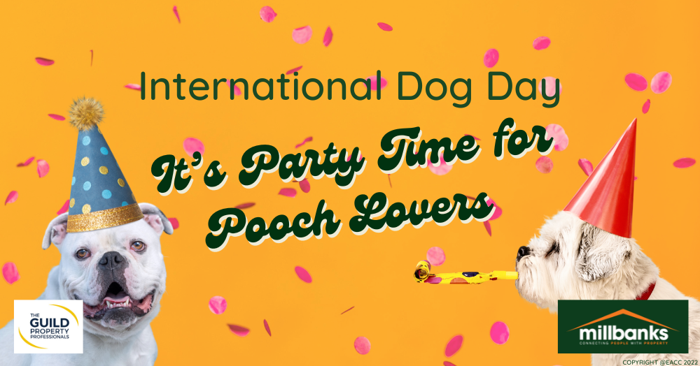 International Dog Day: Let’s Celebrate Our Canine Companions