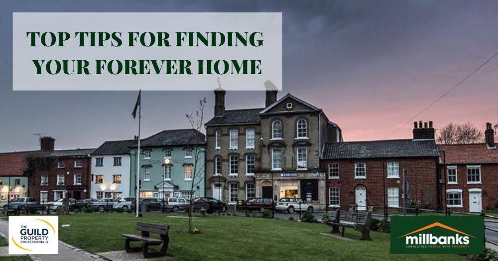 TOP TIPS FOR FINDING YOUR FOREVER HOME
