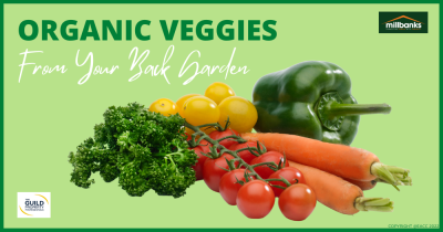 Organic Veggies from Your Own Back Garden