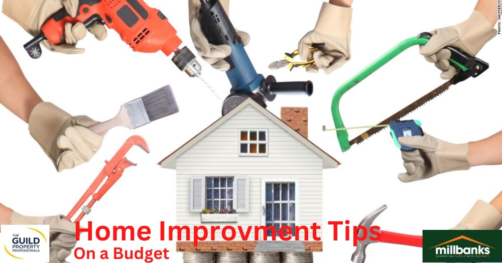 Home Improvements on a Budget